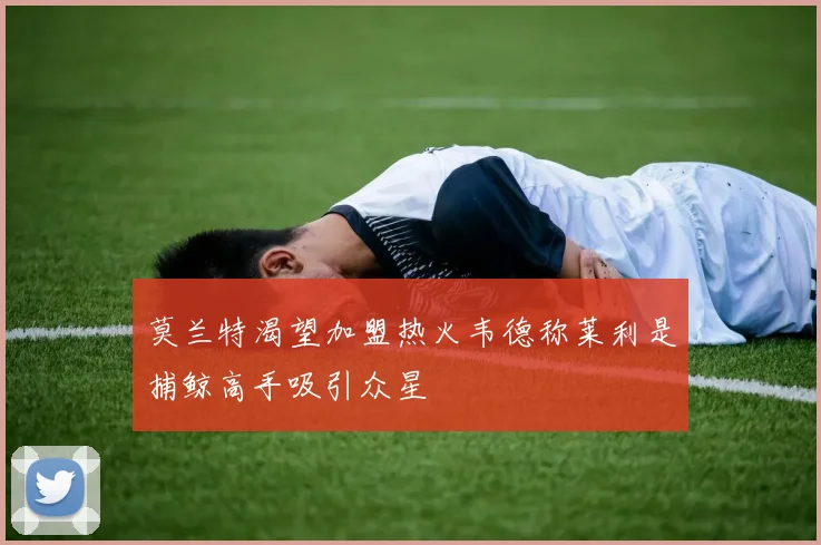 莫兰特渴望加盟热火韦德称莱利是捕鲸高手吸引众星