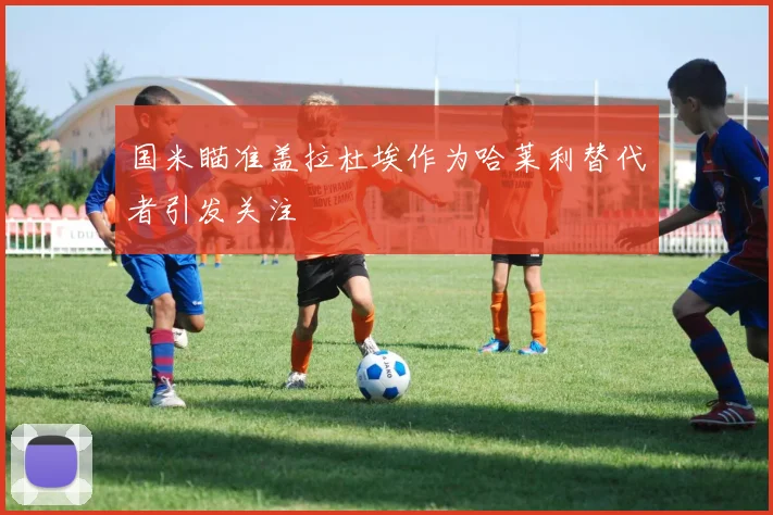 国米瞄准盖拉杜埃作为哈莱利替代者引发关注